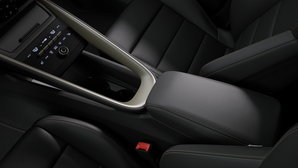 Leather Package in Black with Turbonite Accents