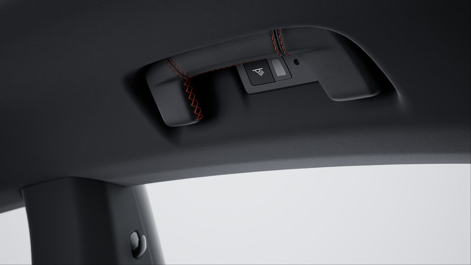 Roof lining grab rails leather with coloured decorative stitching