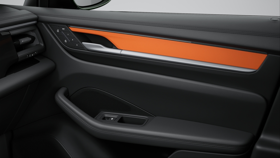 Interior package leather in deviating leather colour