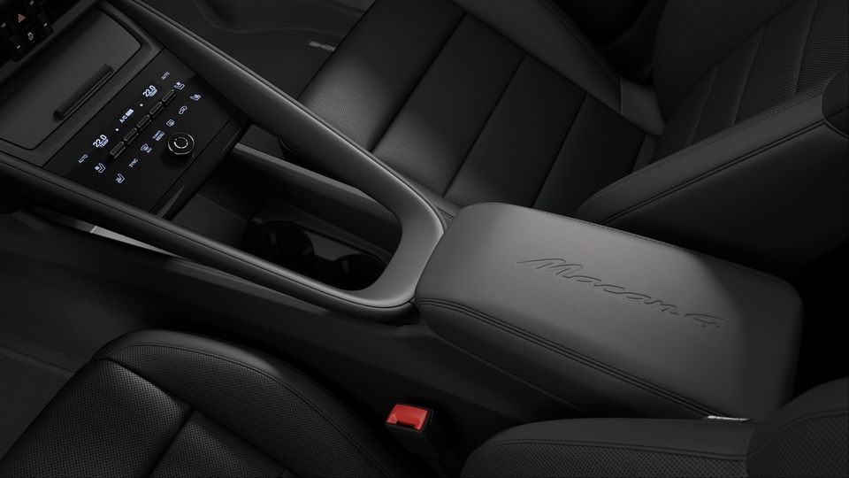 Model logo on centre console armrest