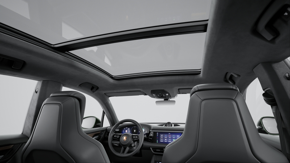 Roof lining in Race-Tex