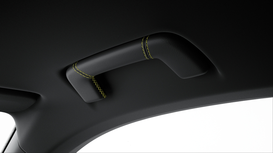 Roof Lining Grab Handles Leather with coloured decorative Stitching