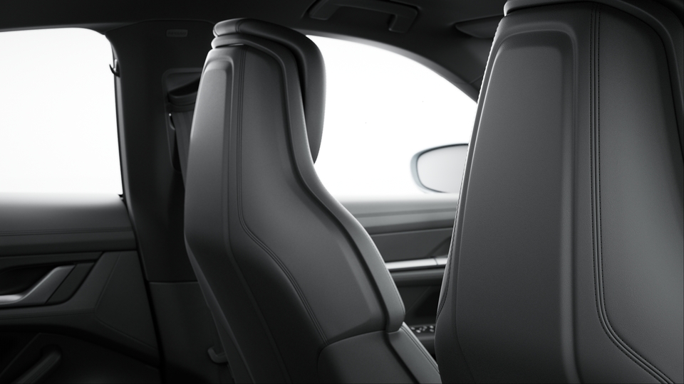 Seat Backrests Leather