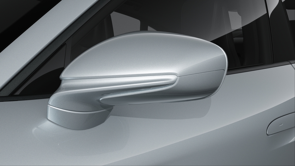 Exterior Mirrors painted in Exterior Colour