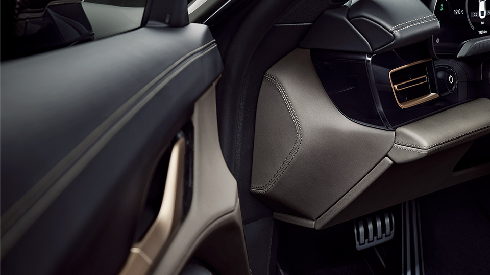 Dashboard End Trims Leather