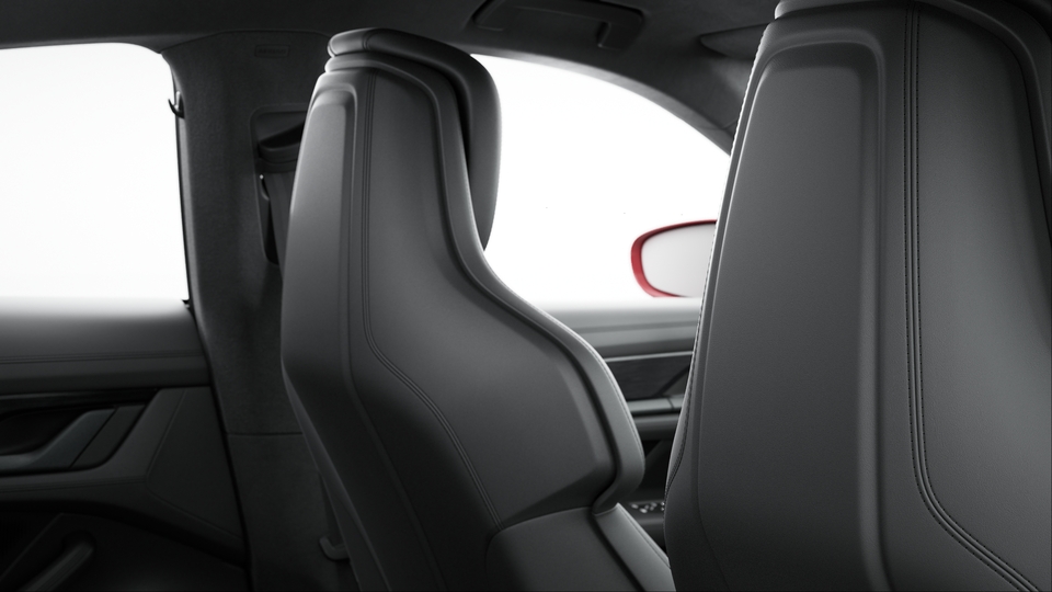 Seat Backrests Leather