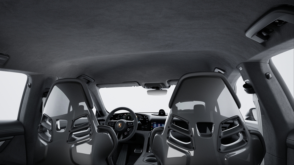 Roof Lining in Race-Tex