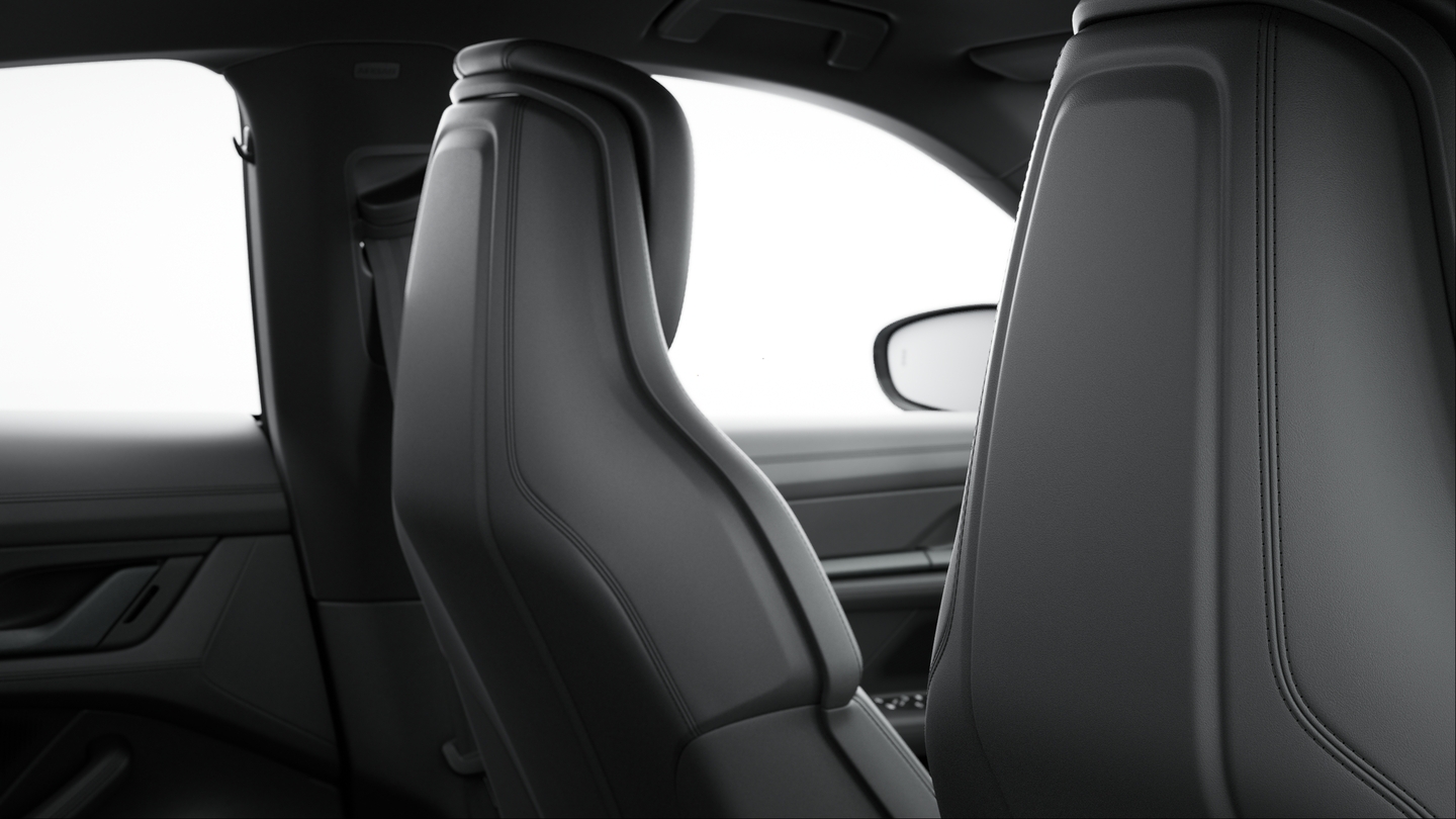 Seat Backrests Leather