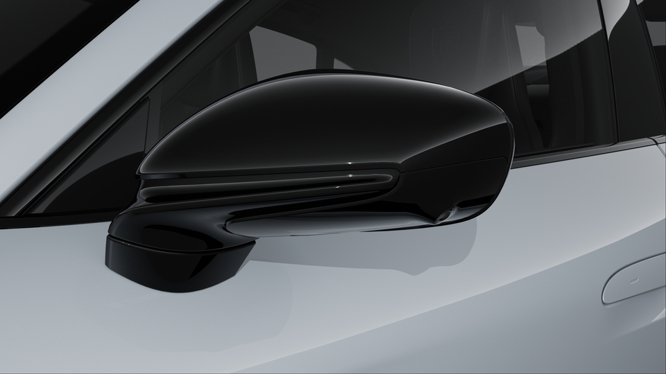 Exterior mirrors painted in Black (high-gloss)