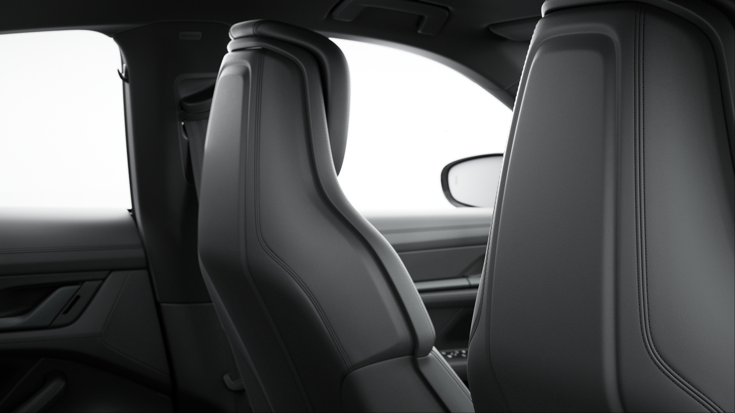 Seat Backrests Leather