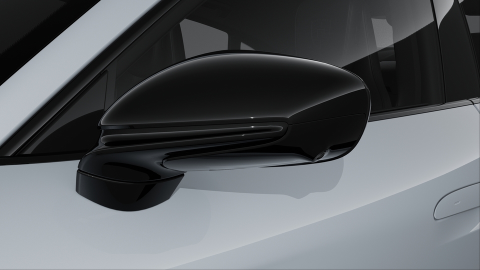 Exterior mirrors painted in Black (high-gloss)
