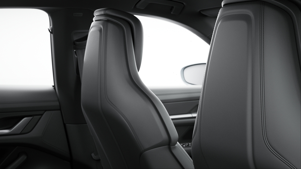 Seat Backrests Leather