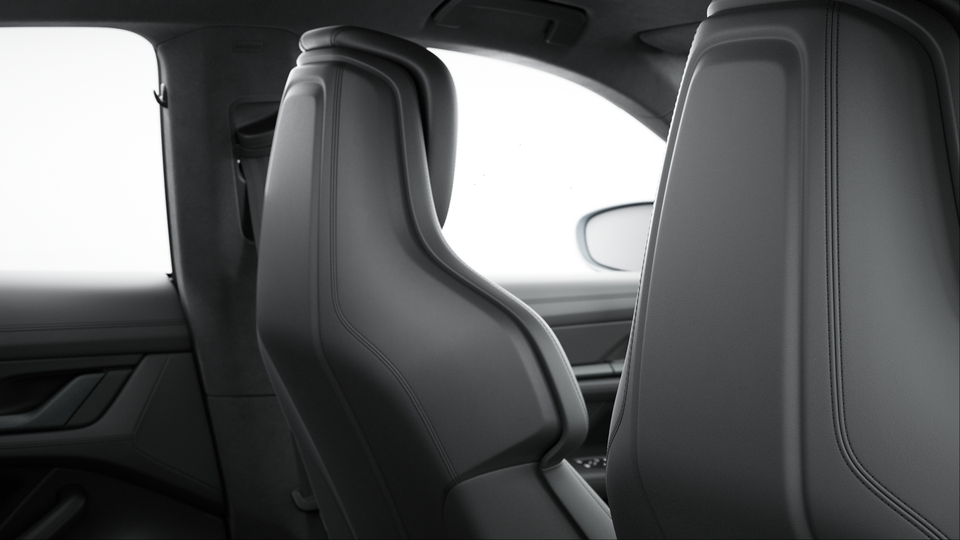 Seat Backrests Leather