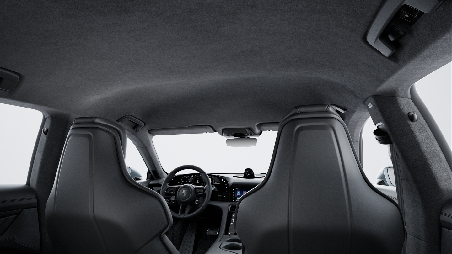 Roof Lining in Race-Tex