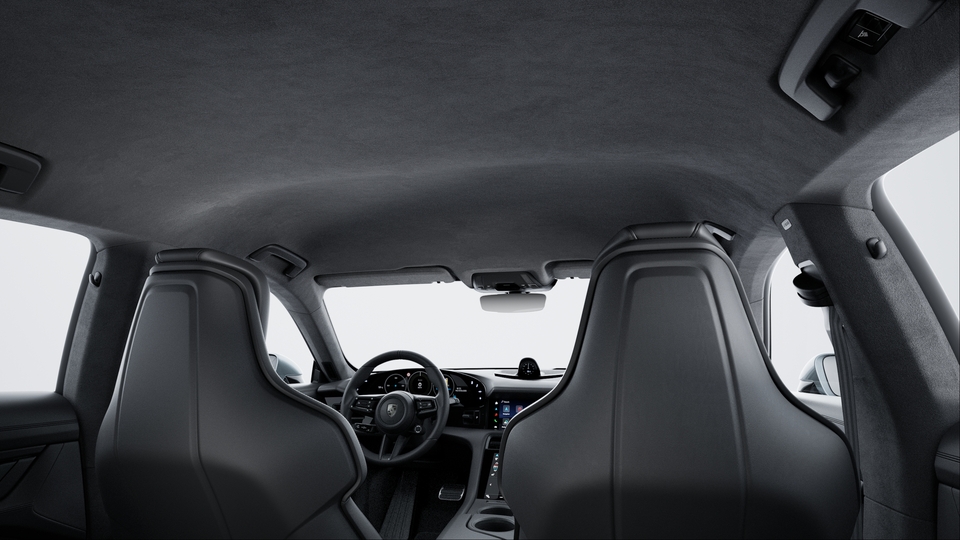 Roof Lining in Race-Tex