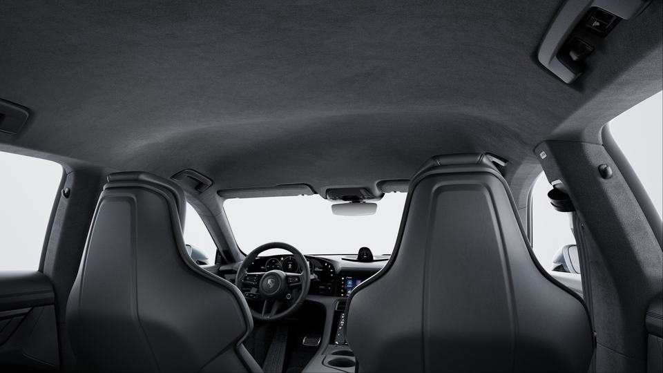 Roof Lining in Race-Tex