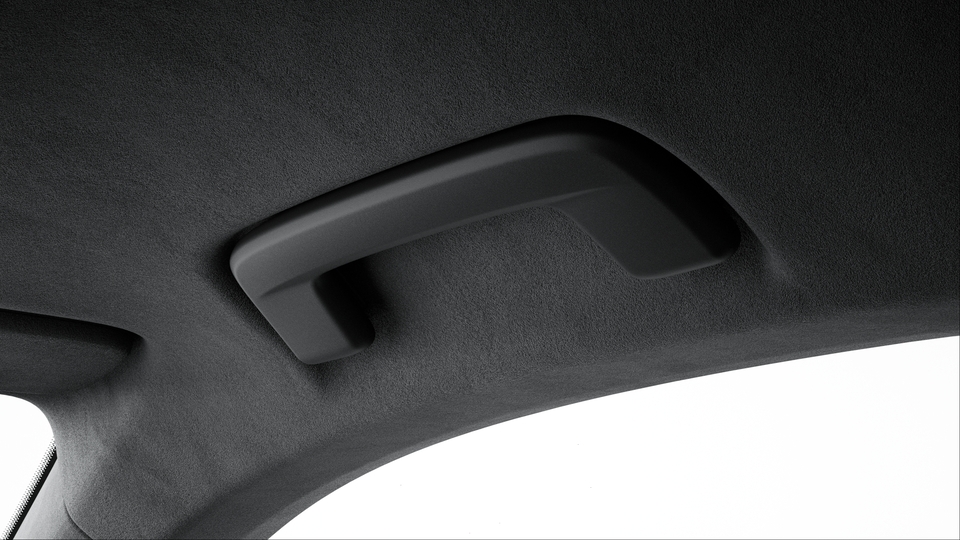 Roof Lining in Race-Tex