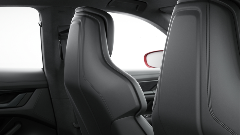 Seat Backrests Leather
