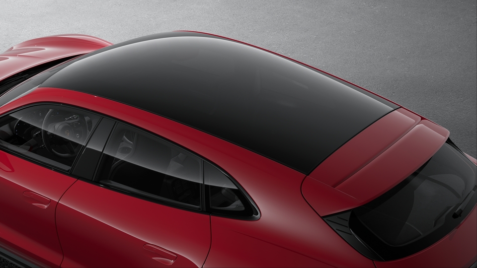 Fixed Panoramic Roof in Glass