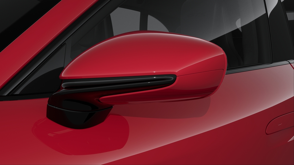 Exterior Mirror Lower Trims painted in Exterior Colour including Mirror Base painted in Black (high-gloss)
