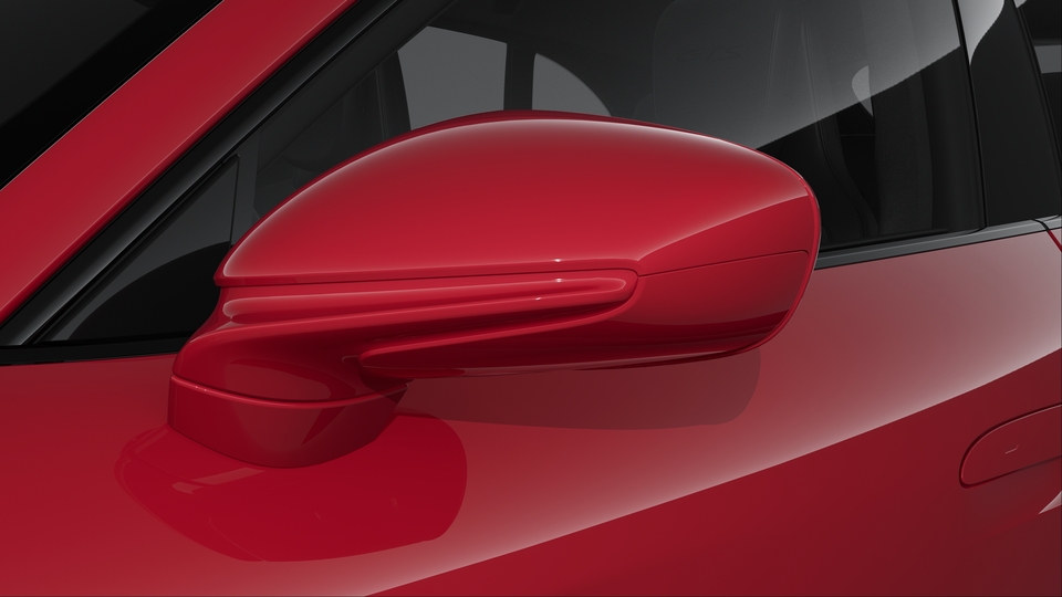 Exterior Mirrors painted in Exterior Colour