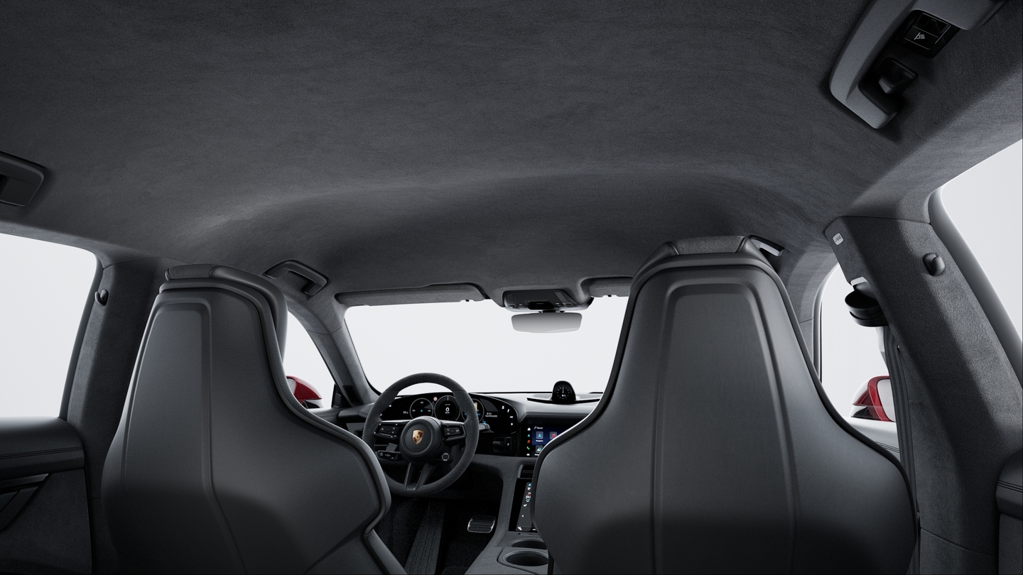 Roof Lining in Race-Tex