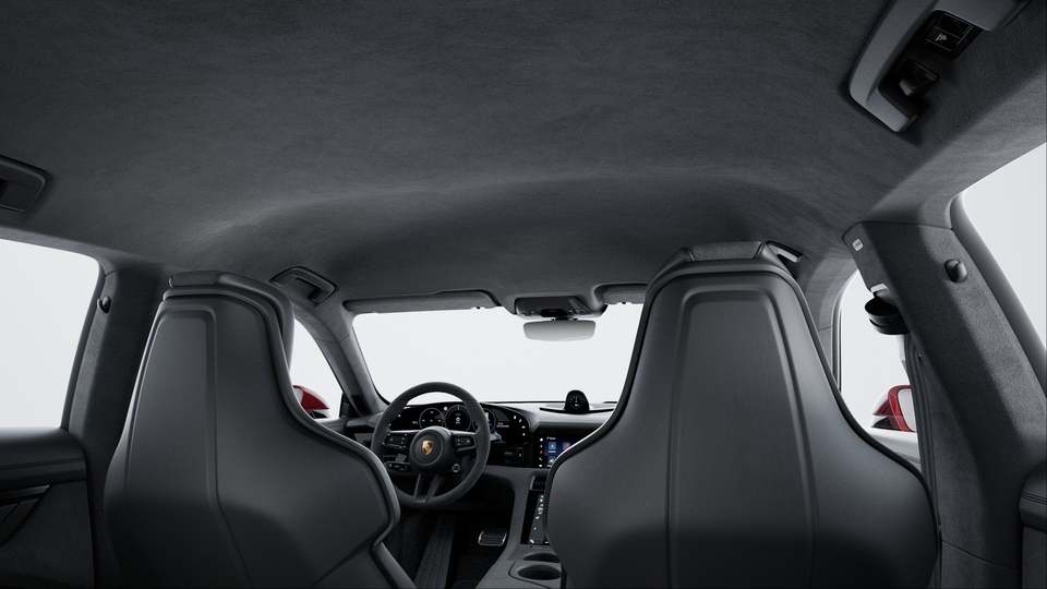 Roof Lining in Race-Tex