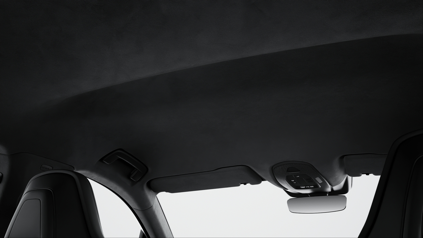 Roof lining in Race-Tex