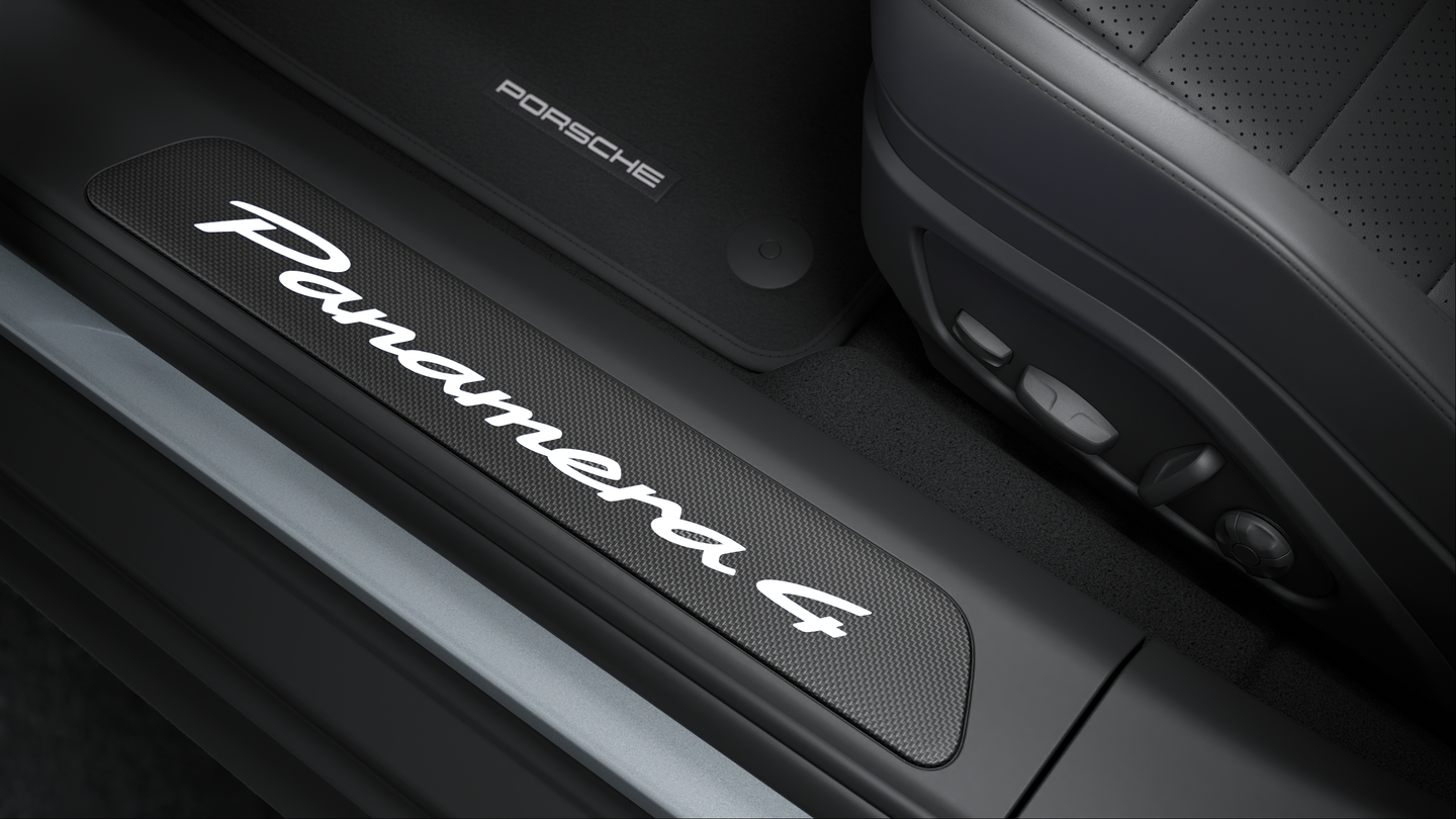 Door sill guards carbon matt, illuminated