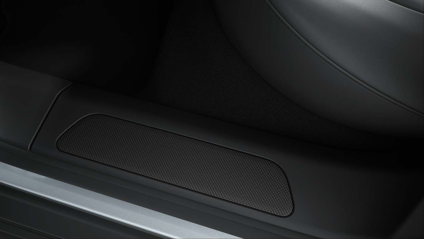 Door sill guards carbon matt, illuminated