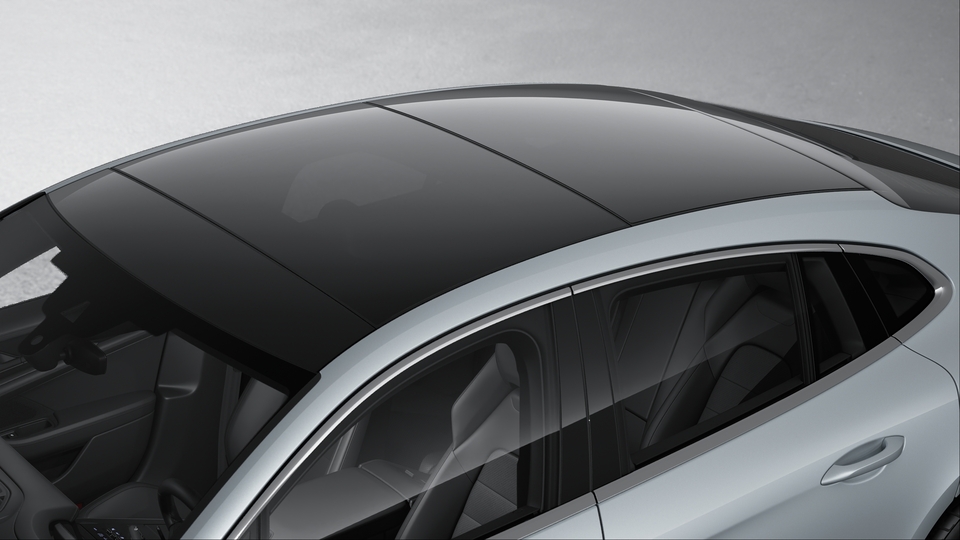 Panoramic roof system