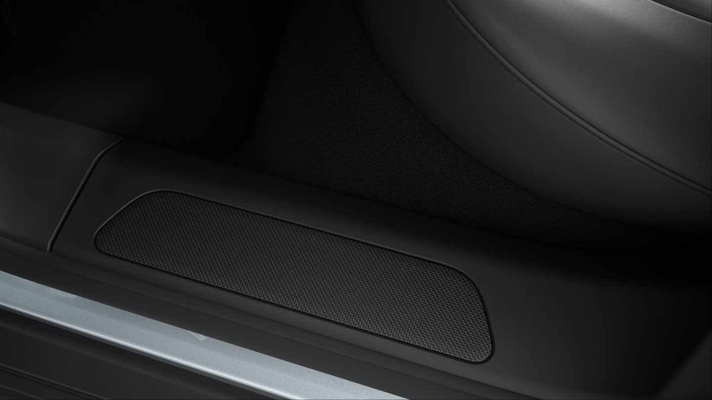 Door sill guards carbon matt, illuminated