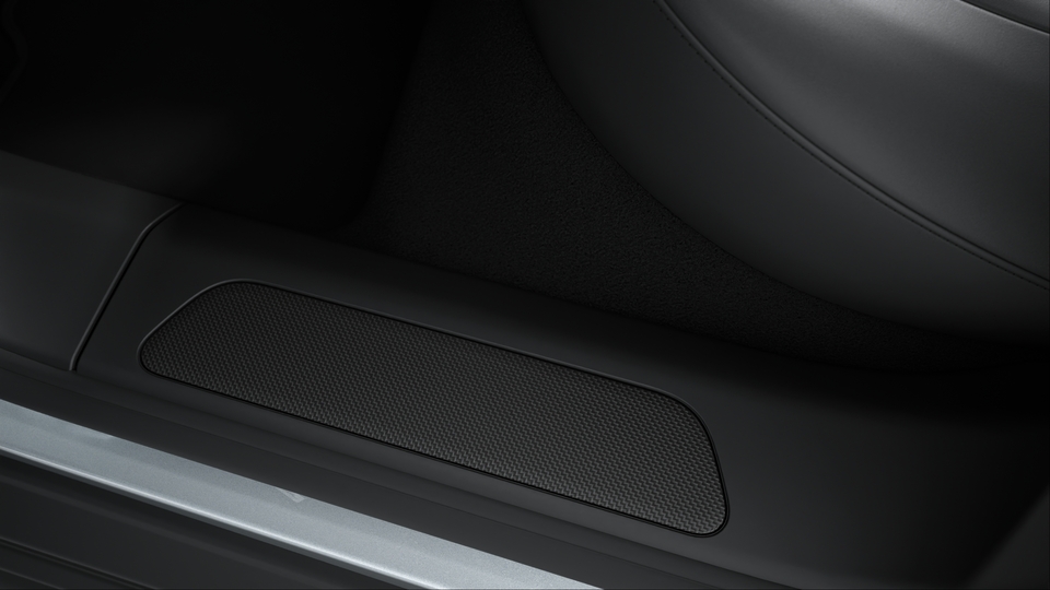 Door sill guards carbon matt, illuminated
