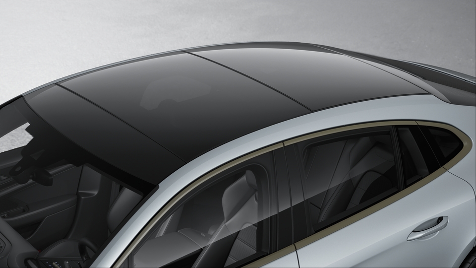 Panoramic Roof System