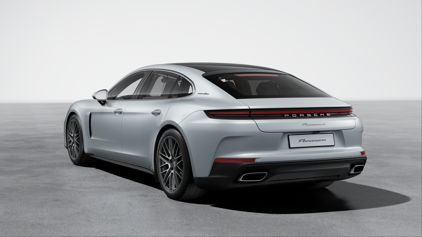 Exhaust system with twin single-tube tailpipes outside left and right in brushed stainless steel