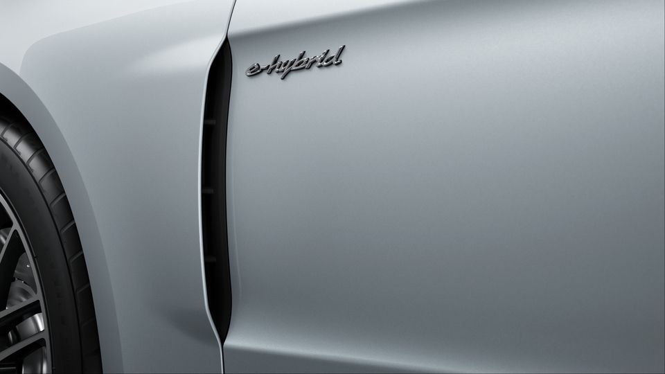 Silver coloured model designation (high-gloss)
