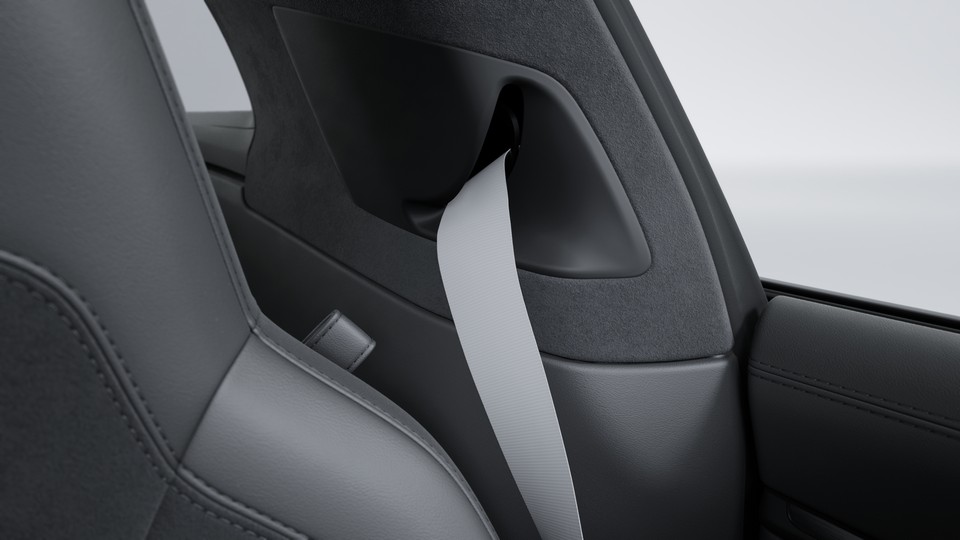 Seat belts Crayon