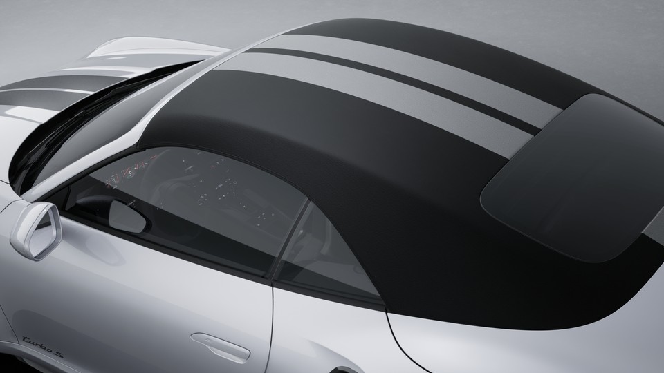 Hood and luggage compartment lid with decorative stripes